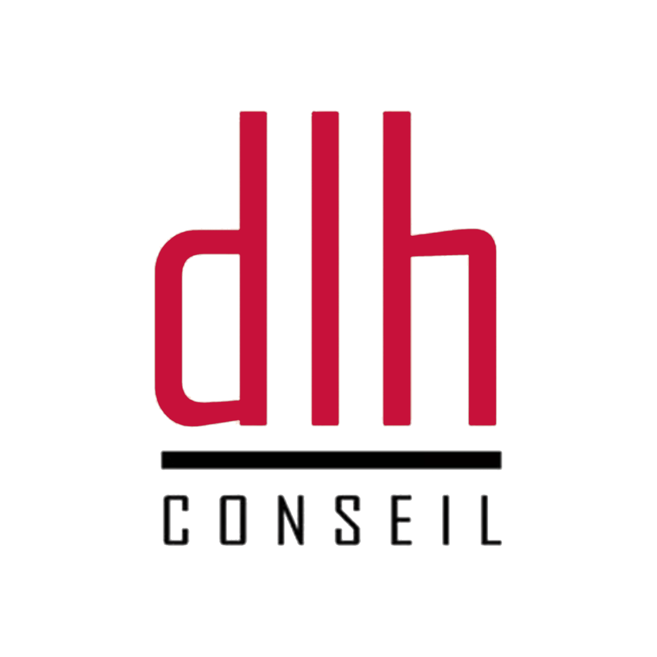 DLH Conseil à Chambéry, votre coach en patrimoine, financement & assurance